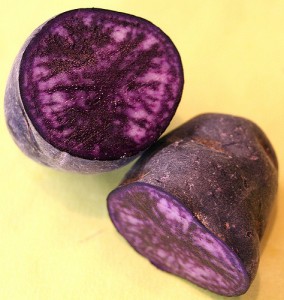 Patate blu della rara varietà Sangallo caratterizzate da polpa e buccia di colore blu violetto